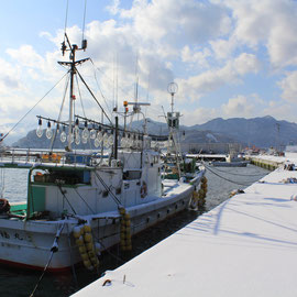 イカ釣り漁船　赤浜（2012年2月撮影）