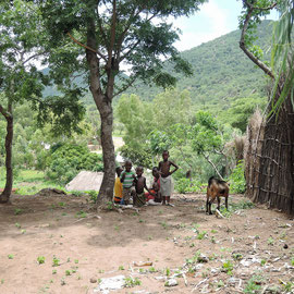 マラウイ湖付近の村です。/a village near lake Malawi.