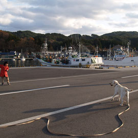 2005年12月に撮影、中堤防。