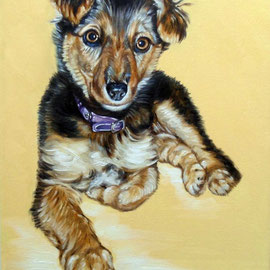 Ritratto di cane - Nerina - Olio su tela 30X40