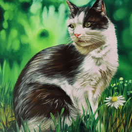Ritratto di gatto - Olio su tela 40X50