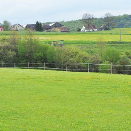 Koppeln