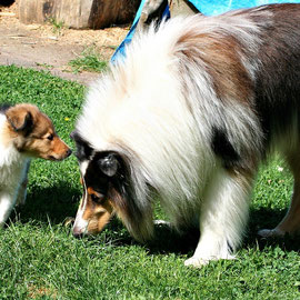 Bryson und sein künftiger Partner Sammy
