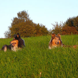 Auf dem Heimweg: Klara & Meggy in der Abendsonne