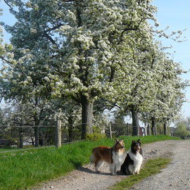 Spaziergang im April 2010