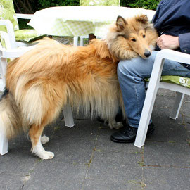 Kuscheln bei Herrchen; Juni 2013