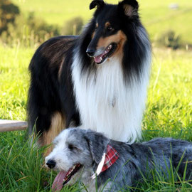 Franki und Luka (Foto: Ch. Schulze)