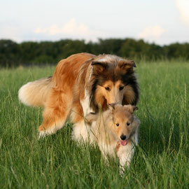 Meggy mit Bailey