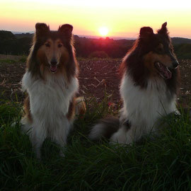 Traumhafter Sonnenuntergang! Klara & Meggy