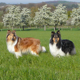 Spaziergang im April 2010