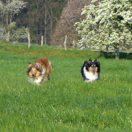 Spaziergang im April 2010