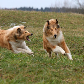 vorne Lennox, dahinter Bailey