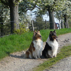 Spaziergang im April 2010