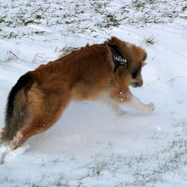 Spaß im Schnee :-)