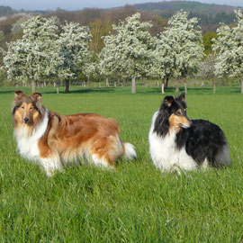 Spaziergang im April 2010