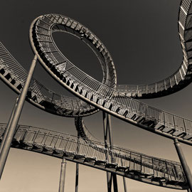 "Tiger and Turtle (7-10374) B+W" - Copyright by Franz Walter