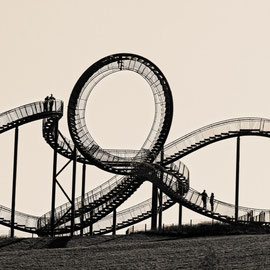 "Tiger and Turtle (7-10533) B+W" - Copyright by Franz Walter