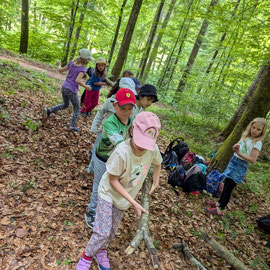 viele Schüler und Schülerinnen bringen einen großenn Ast 