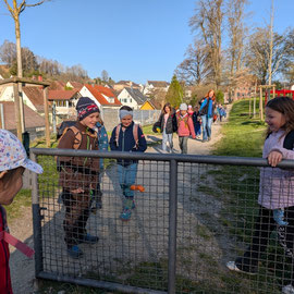 Ein Möhre steckt als Wegweiser in einem Törchen.