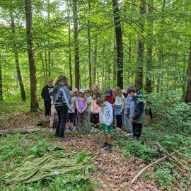 Die Schüler gehen im Wald zu einem Sammelplatz