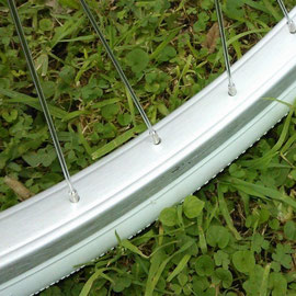 PAR RINES ALUMINIO NORMALES PRECIO REGULAR: $293. PRECIO CON LA BICI: $0.00 GRATIS