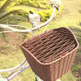 CANASTILLA PLASTIFICADA  TAPA 14 PRECIO REGULAR PÚBLICO $270.00 CON BICI DE $200.00
