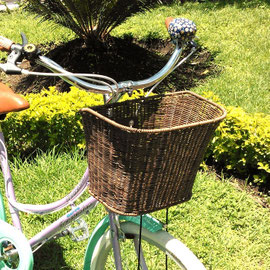 CANASTILLA PLASTIFICADA TIGRE PRECIO REGULAR PÚBLICO $320.00 CON BICI DE $250.00