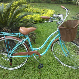 FARO LED METÁLICO (PILAS O DE DÍNAMO) PRECIO REGULAR $180 CON BICI: $137