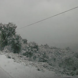 Vue sur la plaine de Borgo