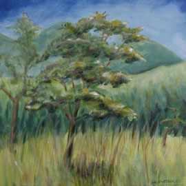 Bayrische Savanne, Acryl, 50x50, 2009