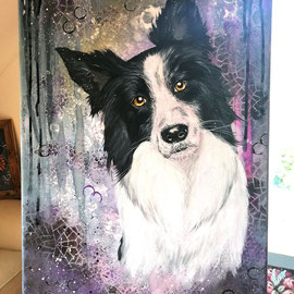 Border Collie - 50x70cm: Fr. 330.00
