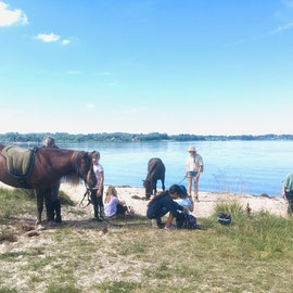 Ausflug an die Schlei