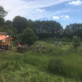 Die grüne Insel