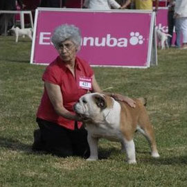 Ernest en la Exposicion de Lisboa