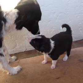 Aziza und Buma