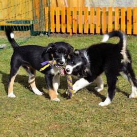 Batman und Buma