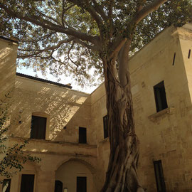 Lecce, ex Conservatorio di Sant'Anna