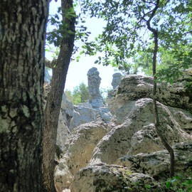 Mystérieux rochers du bois de Païolive