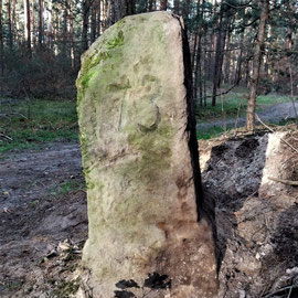 Neu entdeckter Grenzstein