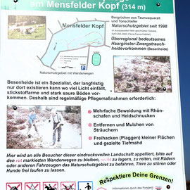 Infotafel Mensfelder Kopf