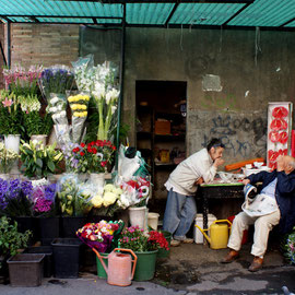 WUNDERSCHÖNE BLUMEN AN SPEZIELLER LOCATION. GEGENSÄTZE!