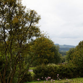 Cottage on the « Woody End » - view on the valley