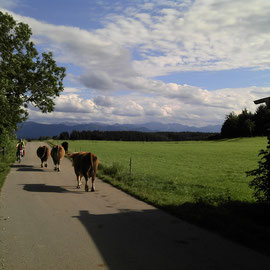 Begegnung am Weg