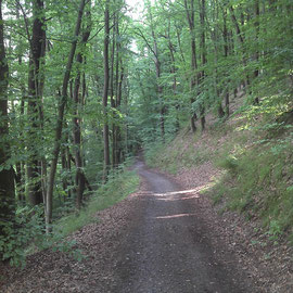 Der "Monte Brutalo". Schwierig zu fahren.