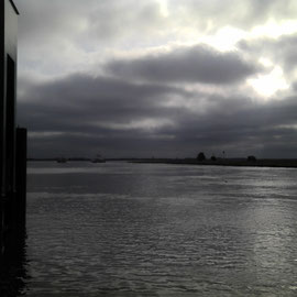 Blick auf die Elbe