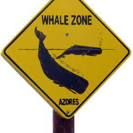 Azoren