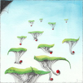 70_Terra