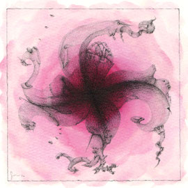 Metamorfosi di un Fiore