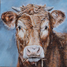 Kasimir - 50x50x4cm   Acryl auf Leinwand