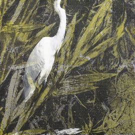 L'ombre blanche, Grande aigrette